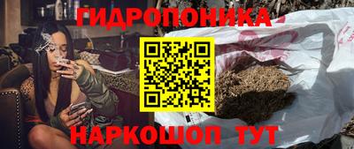 твердый Партизанск