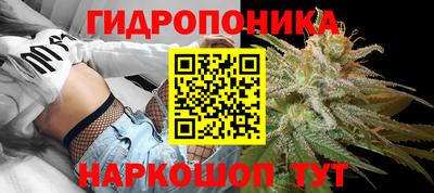 твердый Партизанск