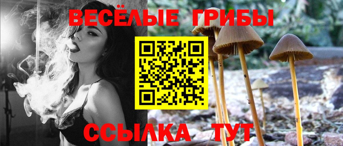 Павлово  Галлюциногенные грибы Psilocybe  Галлюциногенные грибы ЛСД  Вход с VPN 